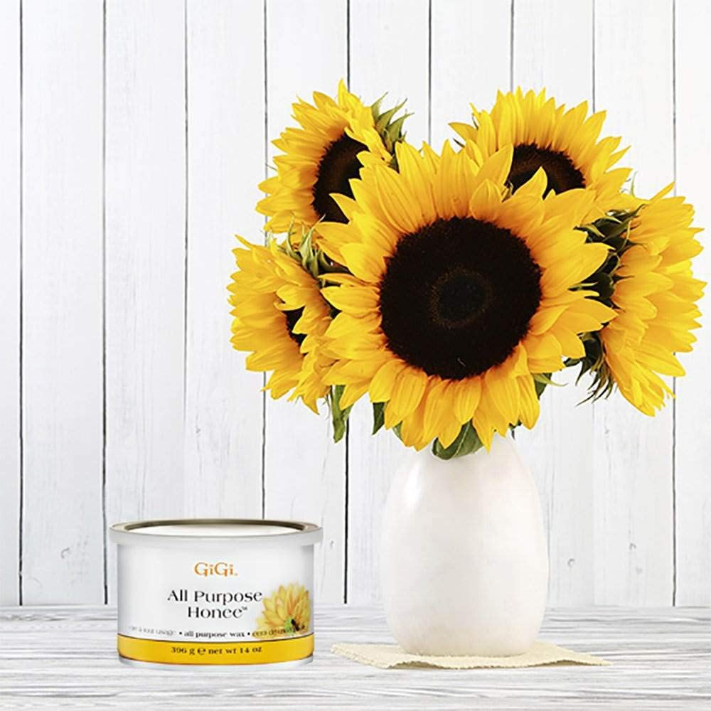 Professional Waxing Hair Removal Student Starter Kit + Honee Wax, 14 Ounces