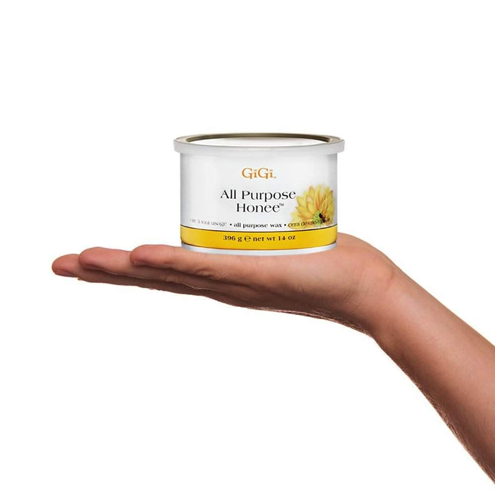 Professional Waxing Hair Removal Student Starter Kit + Honee Wax, 14 Ounces