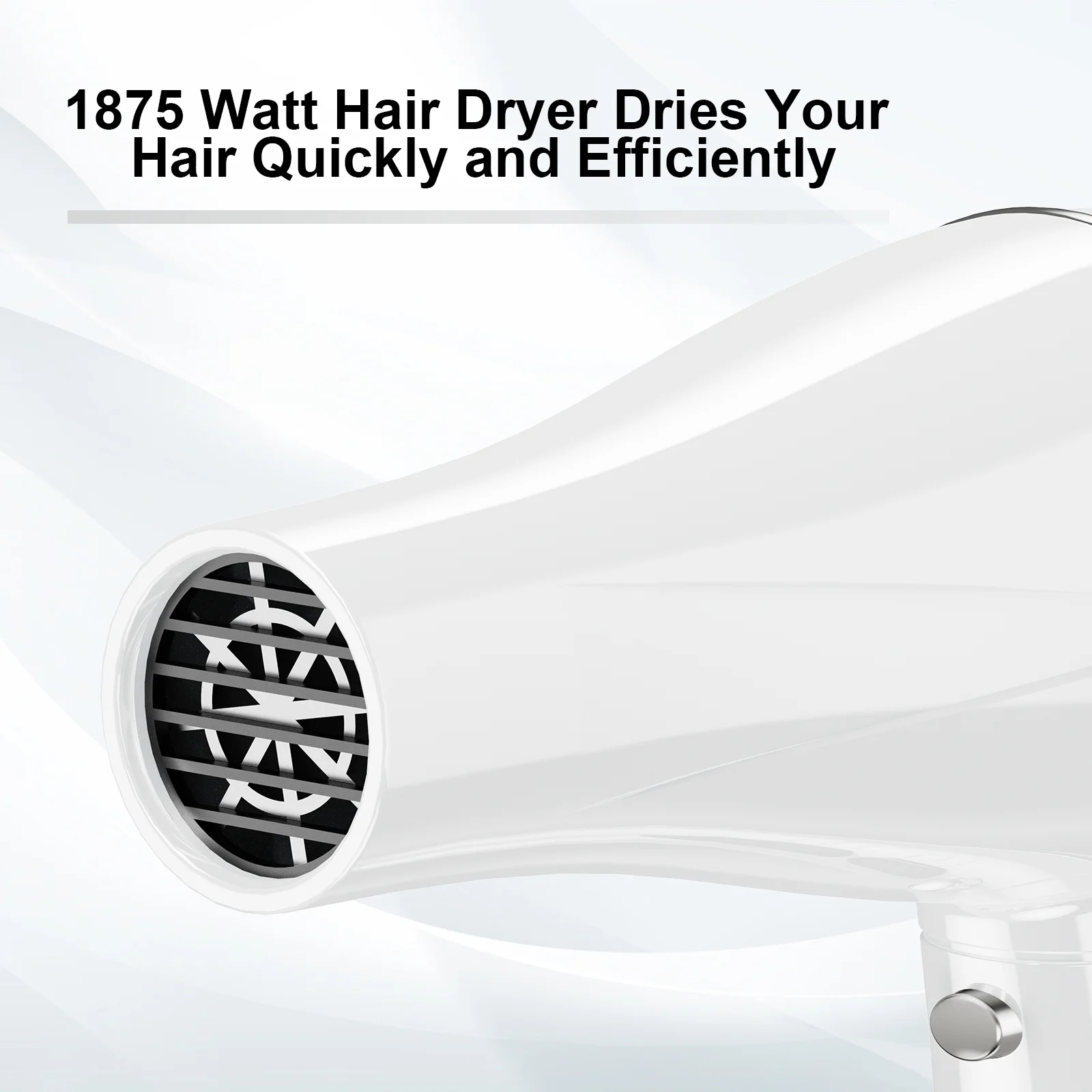 Professional Ionic Hair Dryer with Diffuser
